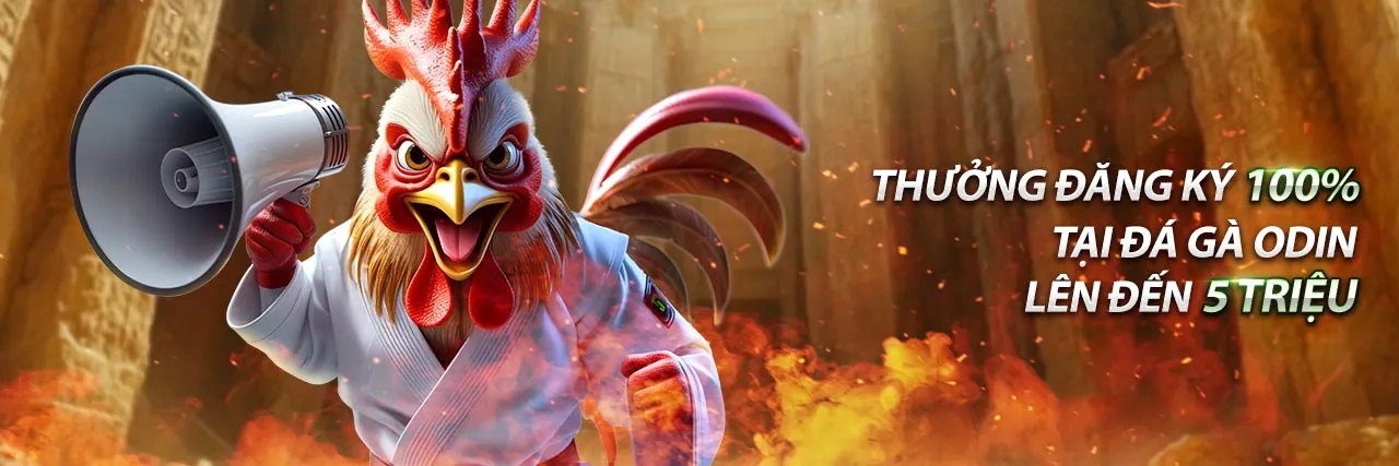 Hình ảnh Chính sách Cookie của f8bet2 đăng nhập