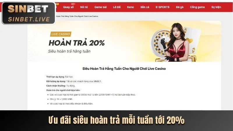 Hoàn Trả Cược Thể Thao